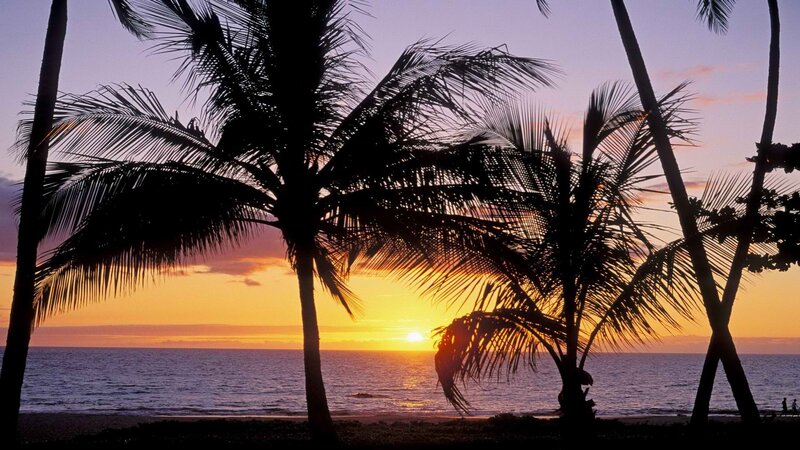 Palm Trees at Sunset — Orange, Serene, Photograph, Ocean, Sky, Beach, Purple