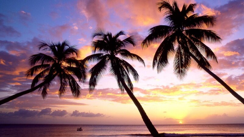Palm Trees at Sunset — Orange, Serene, Photograph, Ocean, Sky, Boat