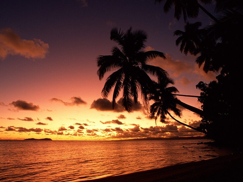 Palm Trees at Sunset — Orange, Serene, Photograph, Ocean, Sky, Clouds, Purple