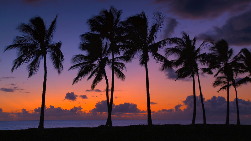 Palm Trees at Sunset — Orange, Serene, Photograph, Ocean, Sky, Clouds