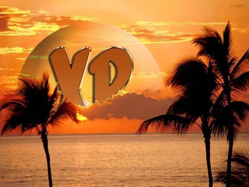 Palm Trees at Sunset — Orange, Serene, Photograph, Ocean, Sky, Clouds, Yellow, Black