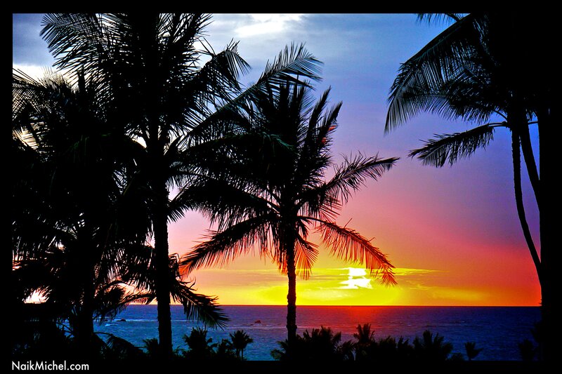 Palm Trees at Sunset — Orange, Serene, Photograph, Ocean, Sky, Sun, Purple