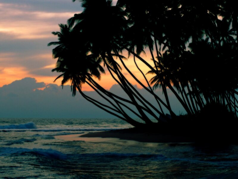 Palm Trees at Sunset — Orange, Serene, Photograph, Ocean, Sky, Waves