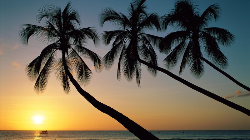 Palm Trees at Sunset — Orange, Serene, Photograph, Ocean, Sun, Sky, Blue