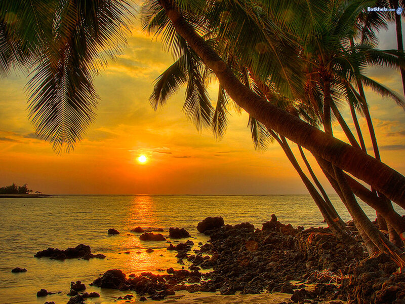 Palm Trees at Sunset — Orange, Serene, Photograph, Ocean