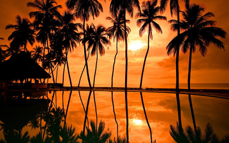 Palm Trees at Sunset — Orange, Serene, Photograph, Pool, Sky