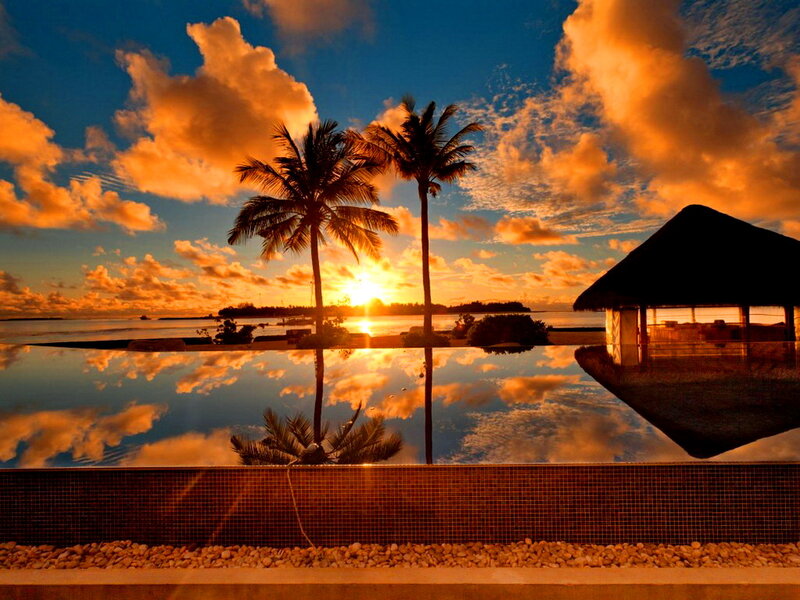 Palm Trees at Sunset — Orange, Serene, Photograph, Pool