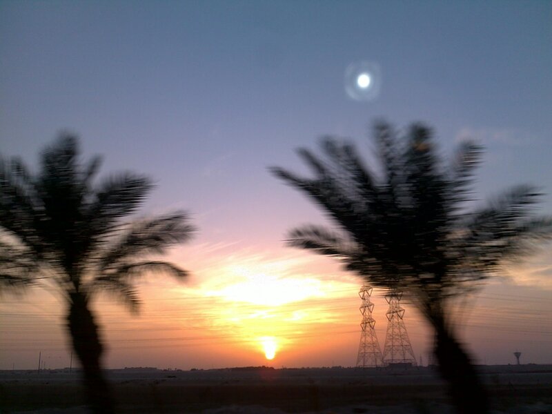 Palm Trees at Sunset — Orange, Serene, Photograph, Power Lines