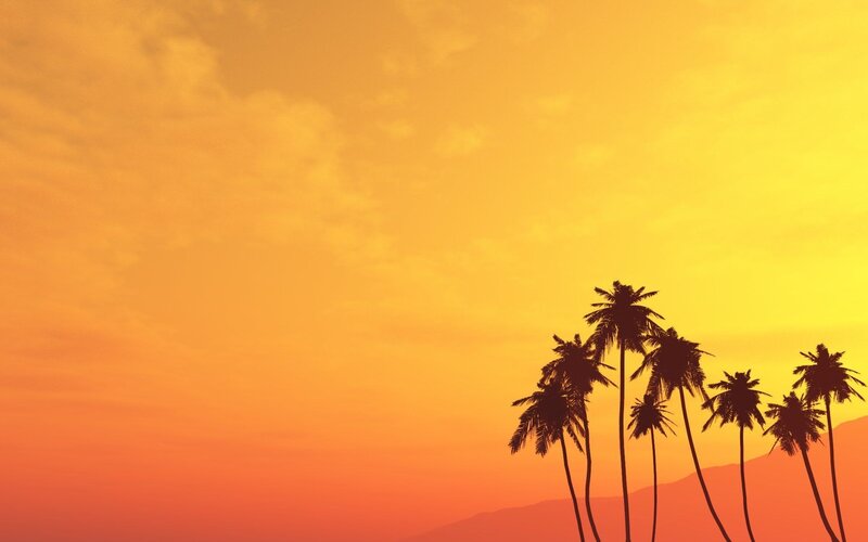 Palm Trees at Sunset — Orange, Serene, Photograph, Sky, Mountains