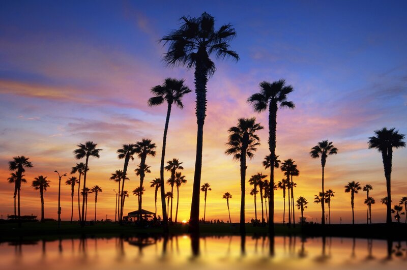 Palm Trees at Sunset — Orange, Serene, Photograph, Sky, Reflection