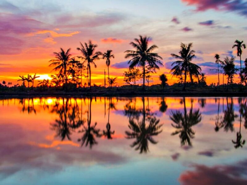 Palm Trees at Sunset — Orange, Serene, Photograph, Sky, Water, Reflection