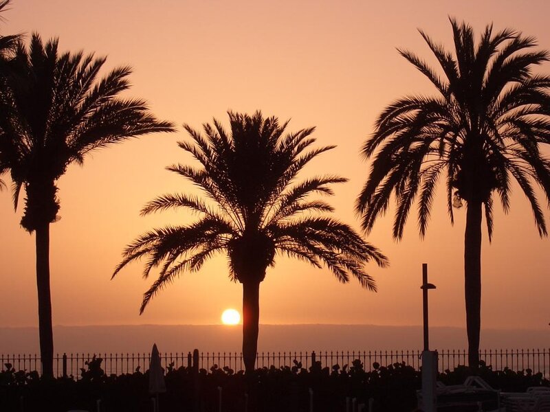 Palm Trees at Sunset — Orange, Serene, Photograph, Sun, Ocean, Fence