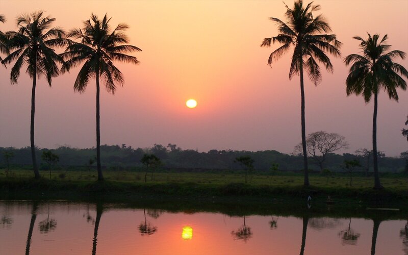Palm Trees at Sunset — Orange, Serene, Photograph, Sun, River