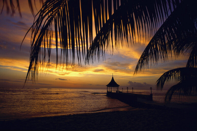 Palm Trees at Sunset — Orange, Serene, Photograph