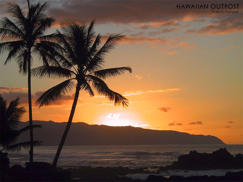 Palm Trees at Sunset — Orange, Serene
