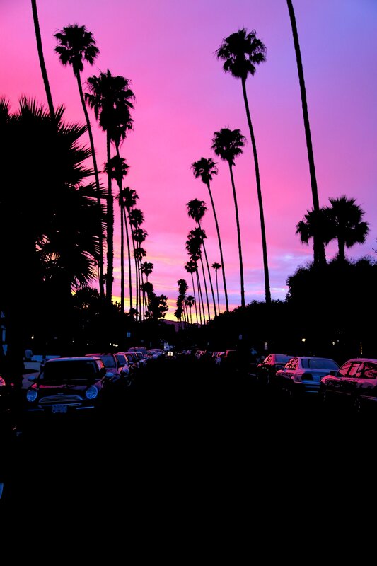 Palm Trees at Sunset — Pink, Dramatic, Photograph, Cars