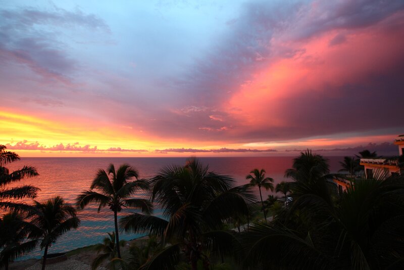 Palm Trees at Sunset — Pink, Dramatic, Photograph, Ocean