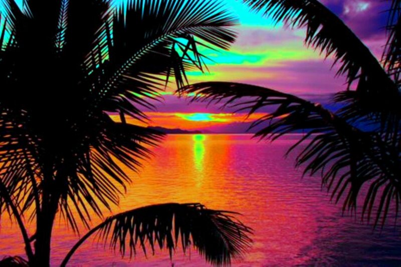 Palm Trees at Sunset — Pink, Dramatic, Photograph