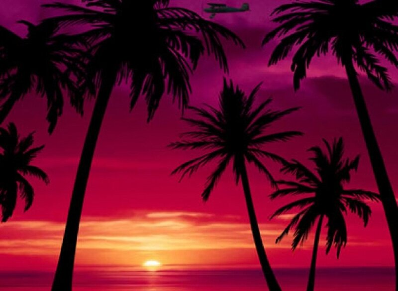 Palm Trees at Sunset — Pink, Dramatic
