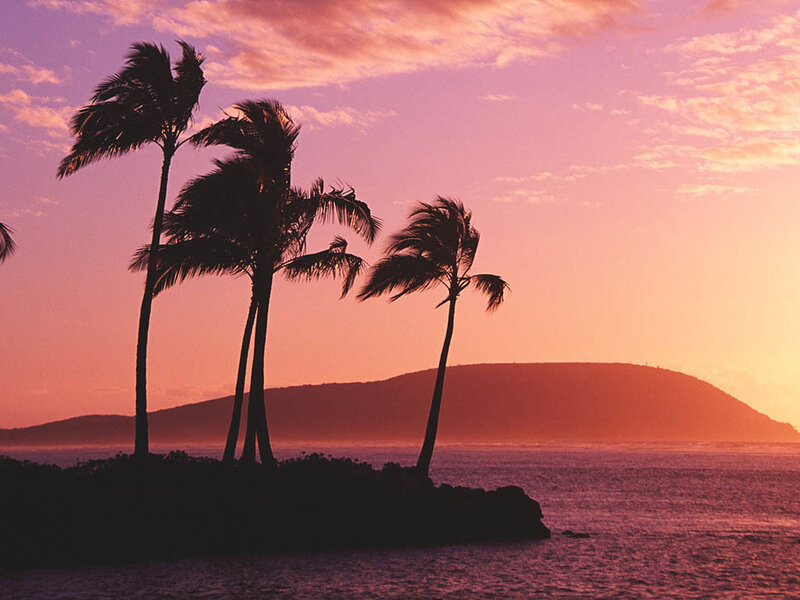 Palm Trees at Sunset — Pink, Serene, Photograph, Ocean, Island
