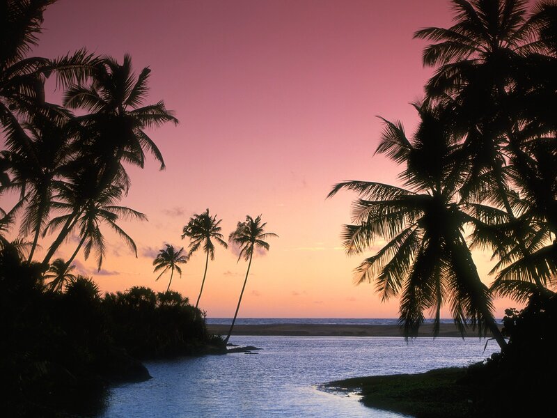 Palm Trees at Sunset — Pink, Serene, Photograph, Ocean, River