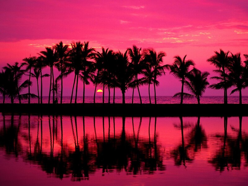 Palm Trees at Sunset — Pink, Serene, Photograph, Ocean