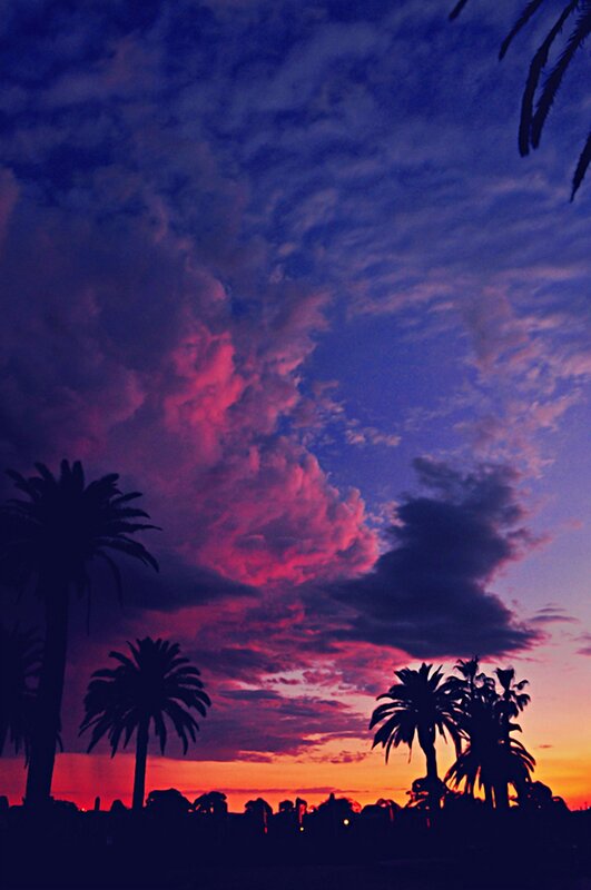 Palm Trees at Sunset — Purple, Dramatic, Photograph, Clouds, Sky