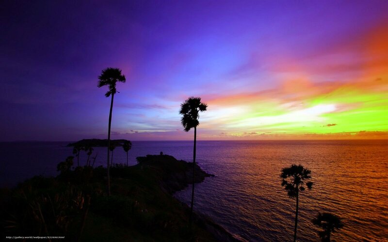 Palm Trees at Sunset — Purple, Dramatic, Photograph, Ocean, Island