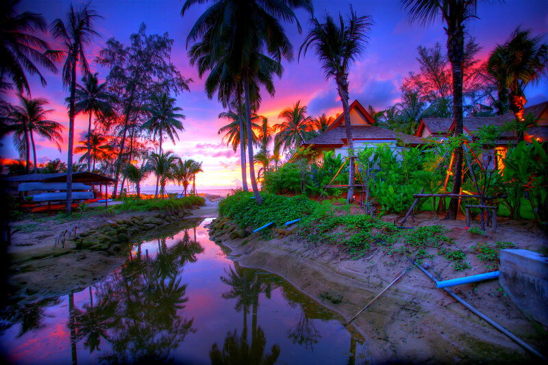 Palm Trees at Sunset — Purple, Dramatic, Photograph, Palms