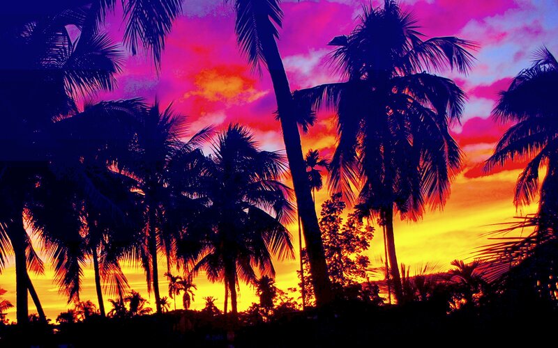 Palm Trees at Sunset — Purple, Dramatic, Photograph, Sky, Clouds