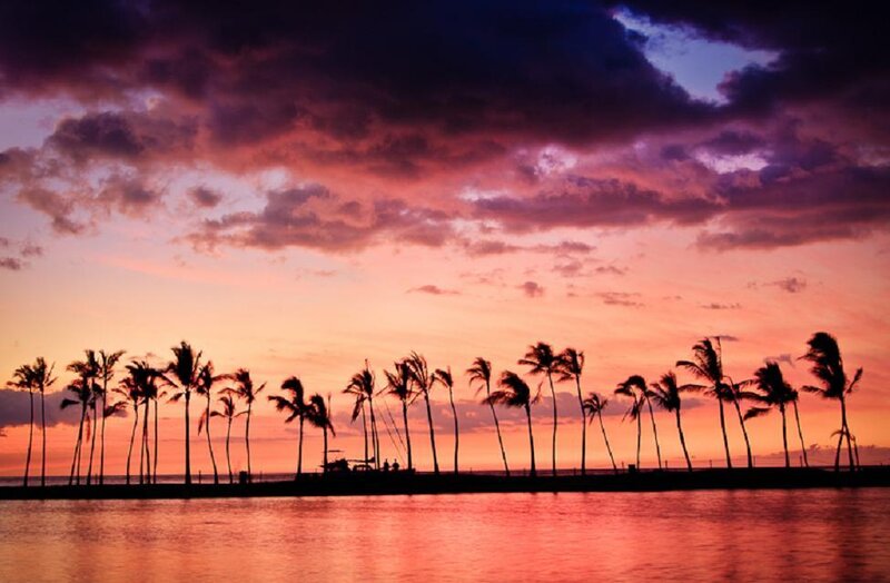 Palm Trees at Sunset — Purple, Dramatic, Photograph, Sky
