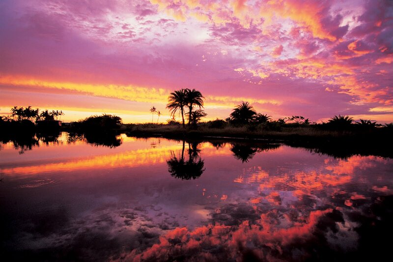 Palm Trees at Sunset — Purple, Dramatic, Photograph, Sky, Water