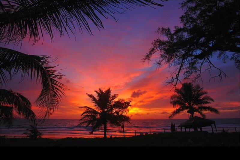 Palm Trees at Sunset — Purple, Dramatic