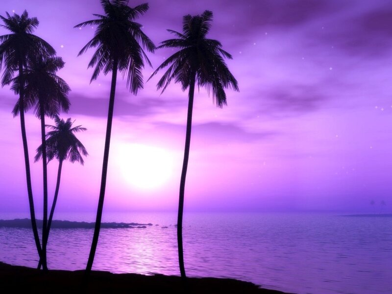 Palm Trees at Sunset — Purple, Serene, Digital Art