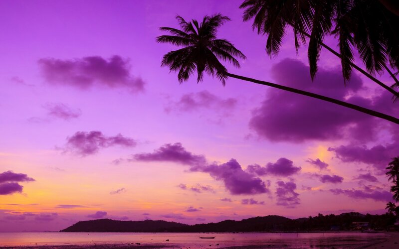 Palm Trees at Sunset — Purple, Serene, Photograph, Clouds, Ocean