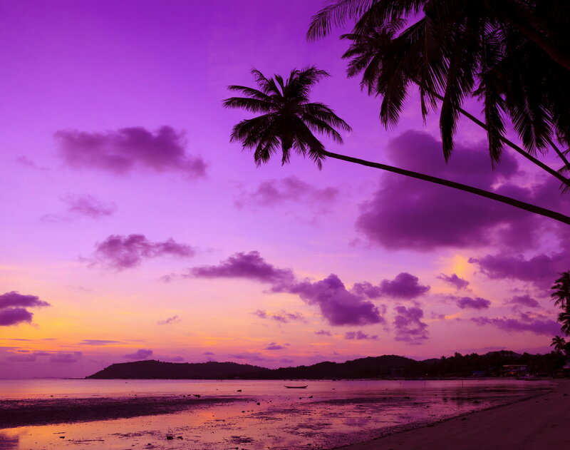 Palm Trees at Sunset — Purple, Serene, Photograph, Clouds