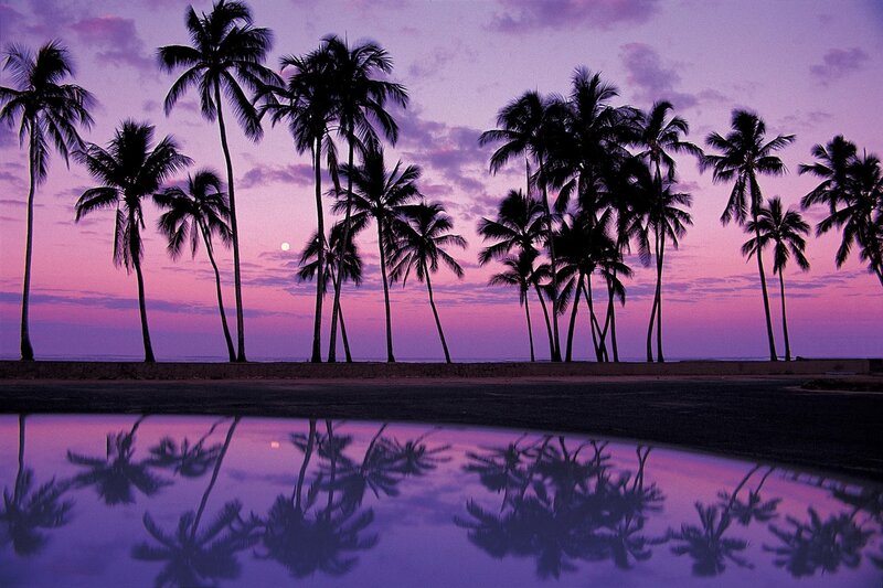 Palm Trees at Sunset — Purple, Serene, Photograph, Moon