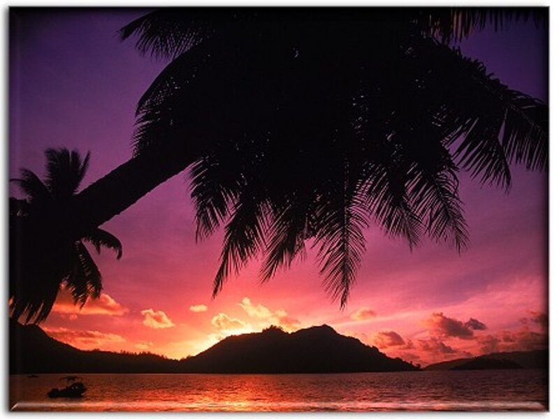 Palm Trees at Sunset — Purple, Serene, Photograph, Mountains