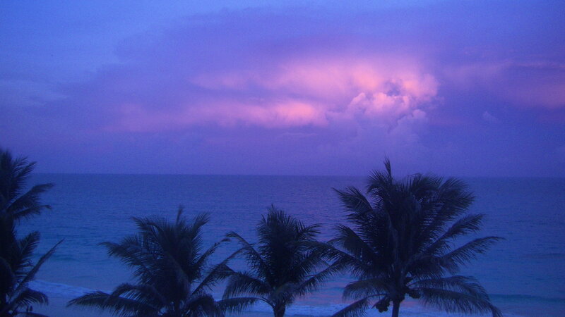 Palm Trees at Sunset — Purple, Serene, Photograph, Ocean, Clouds