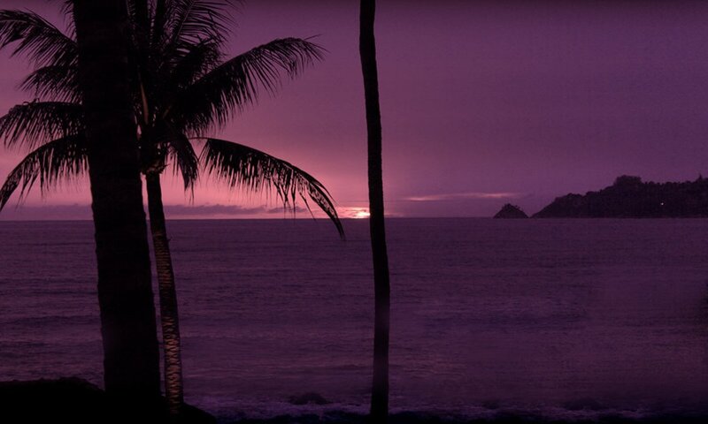 Palm Trees at Sunset — Purple, Serene, Photograph, Ocean, Island
