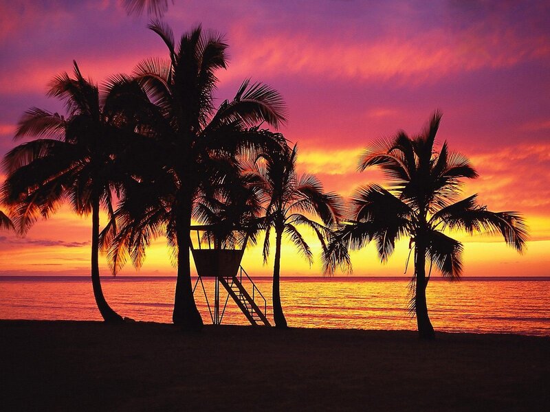 Palm Trees at Sunset — Purple, Serene, Photograph, Ocean, Lifeguard Tower