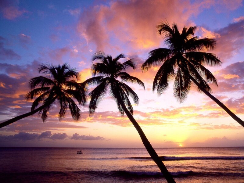 Palm Trees at Sunset — Purple, Serene, Photograph, Ocean, Sky, Boat