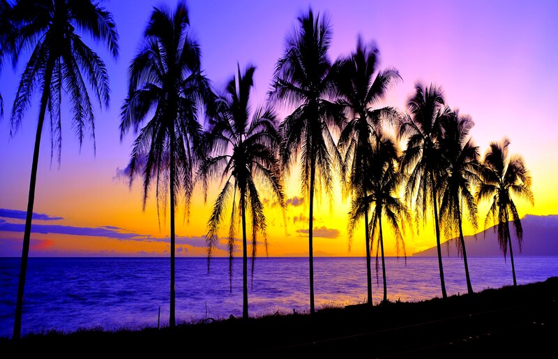 Palm Trees at Sunset — Purple, Serene, Photograph, Ocean, Sky, Mountain