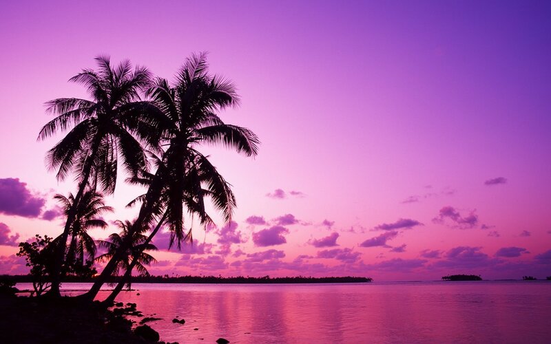 Palm Trees at Sunset — Purple, Serene, Photograph, Ocean