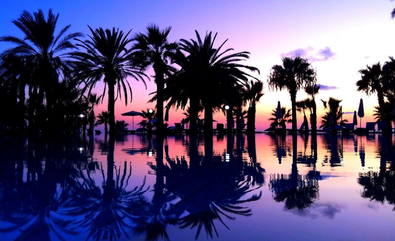Palm Trees at Sunset — Purple, Serene, Photograph, Pool