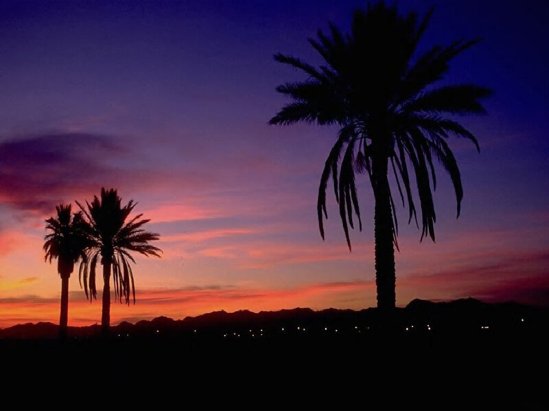 Palm Trees at Sunset — Purple, Serene, Photograph, Sky, Mountains