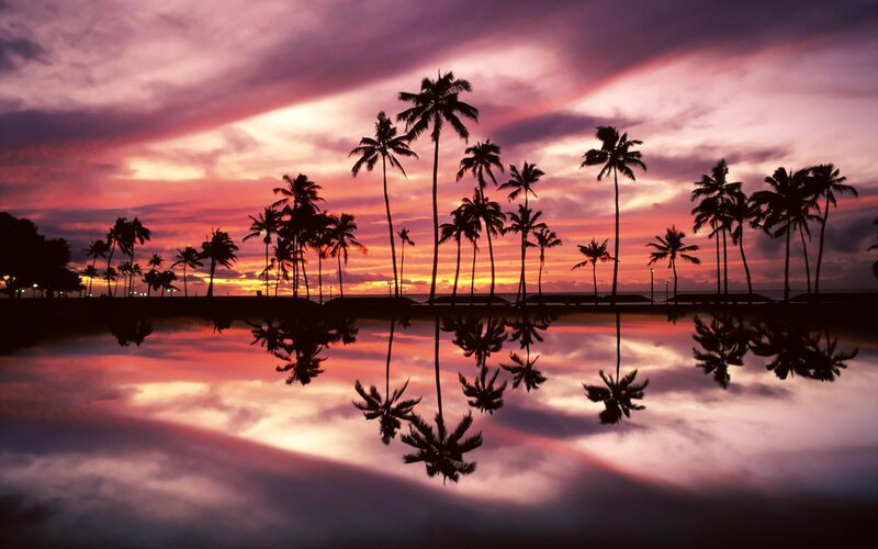 Palm Trees at Sunset — Purple, Serene, Photograph, Sky, Reflection, Ocean, Pink, Orange