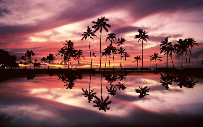 Palm Trees at Sunset — Purple, Serene, Photograph, Sky, Reflection, Ocean