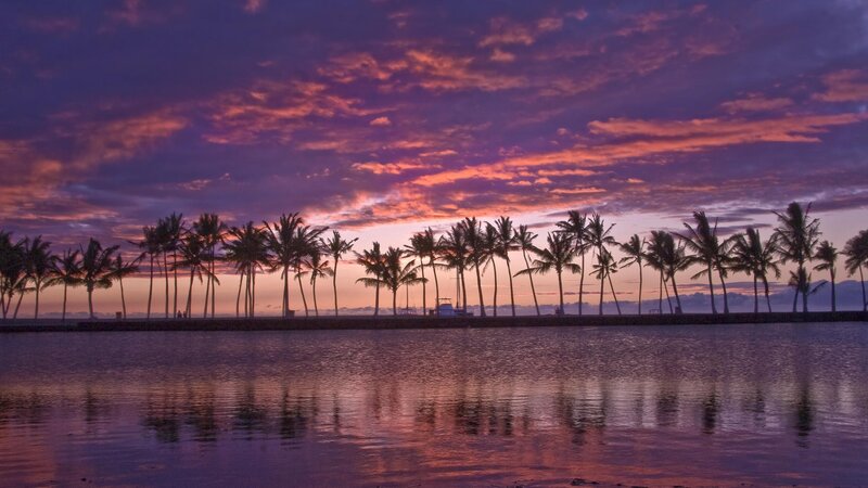 Palm Trees at Sunset — Purple, Serene, Photograph, Sky, Water, Pink