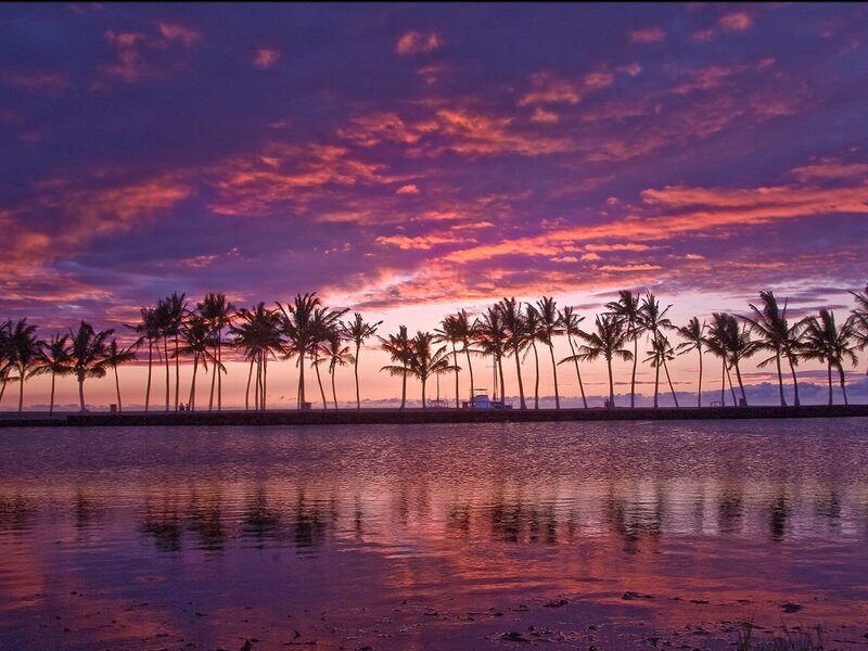 Palm Trees at Sunset — Purple, Serene, Photograph, Sky, Water